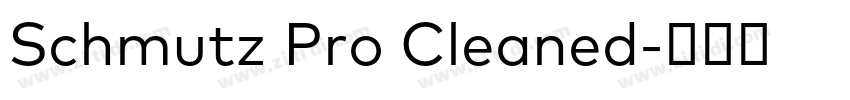 Schmutz Pro Cleaned字体转换